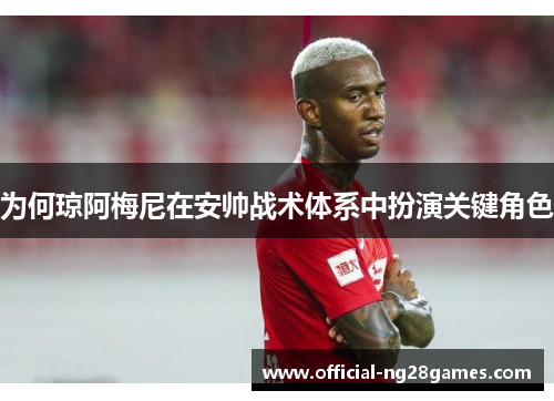 为何琼阿梅尼在安帅战术体系中扮演关键角色