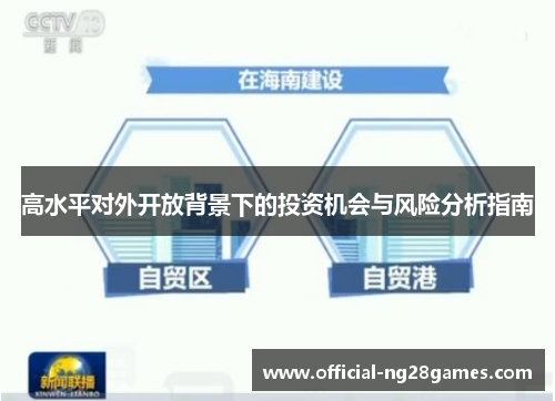 高水平对外开放背景下的投资机会与风险分析指南