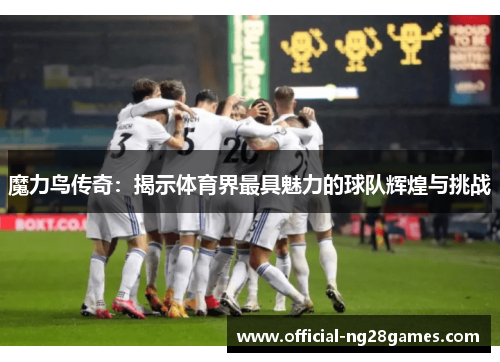 魔力鸟传奇：揭示体育界最具魅力的球队辉煌与挑战